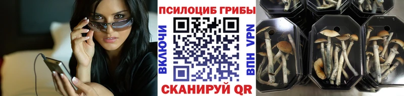 это наркотические препараты Белая Холуница Псилоцибиновые грибы Psilocybine cubensis
