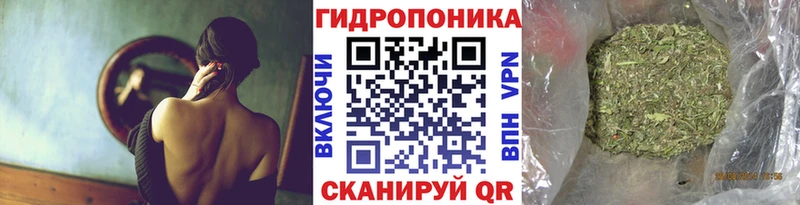 OMG зеркало Белая Холуница Марихуана THC 21%